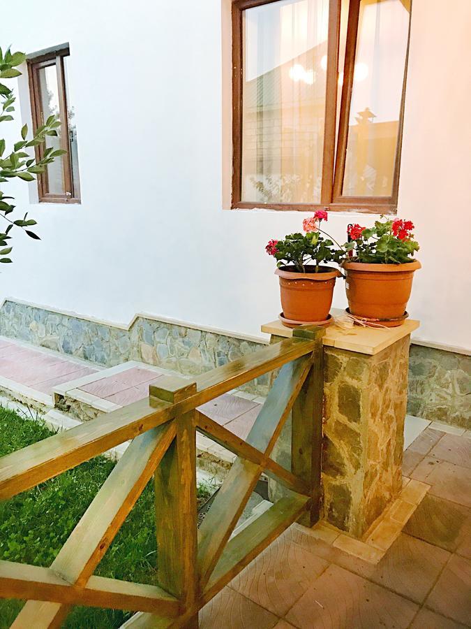 Gabala Sweet Lounge Villa Dış mekan fotoğraf